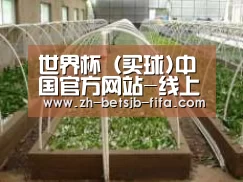环境展示五