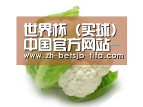 产品名称九