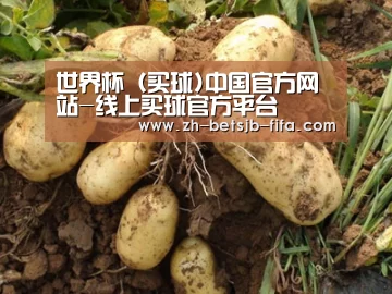 种植基地六