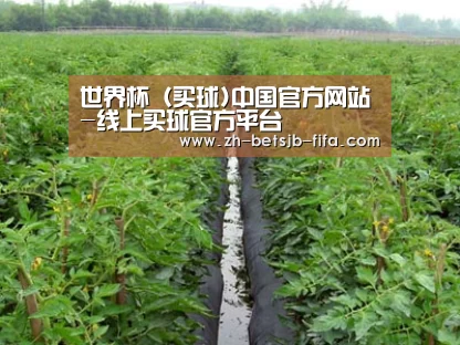 种植基地三