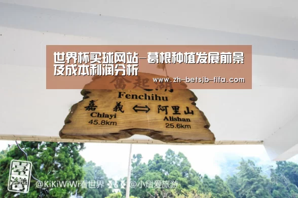 世界杯买球网站