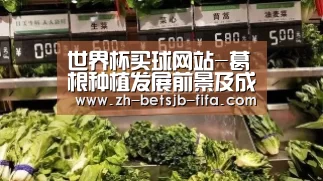 世界杯外围买球