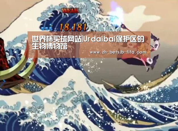 世界杯买球网站|Urdaibai保护区的生物博物馆(图1) 世界杯投注