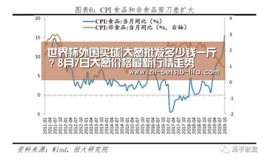 世界杯买球网站