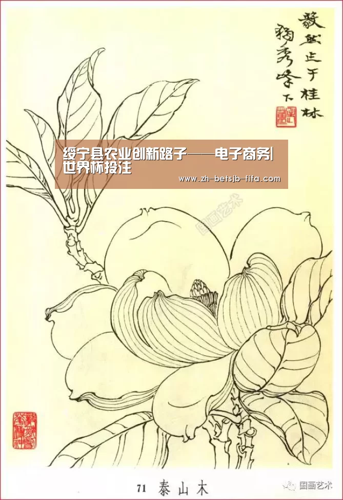 绥宁县农业创新路子——电子商务|世界杯投注(图1) 世界杯买球网站