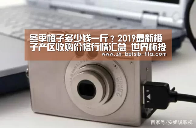 冬季橙子多少钱一斤?2019最新橙子产区收购价格行情汇总_世界杯投注(图2) 世界杯投注