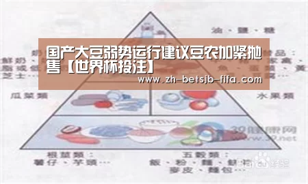 世界杯投注