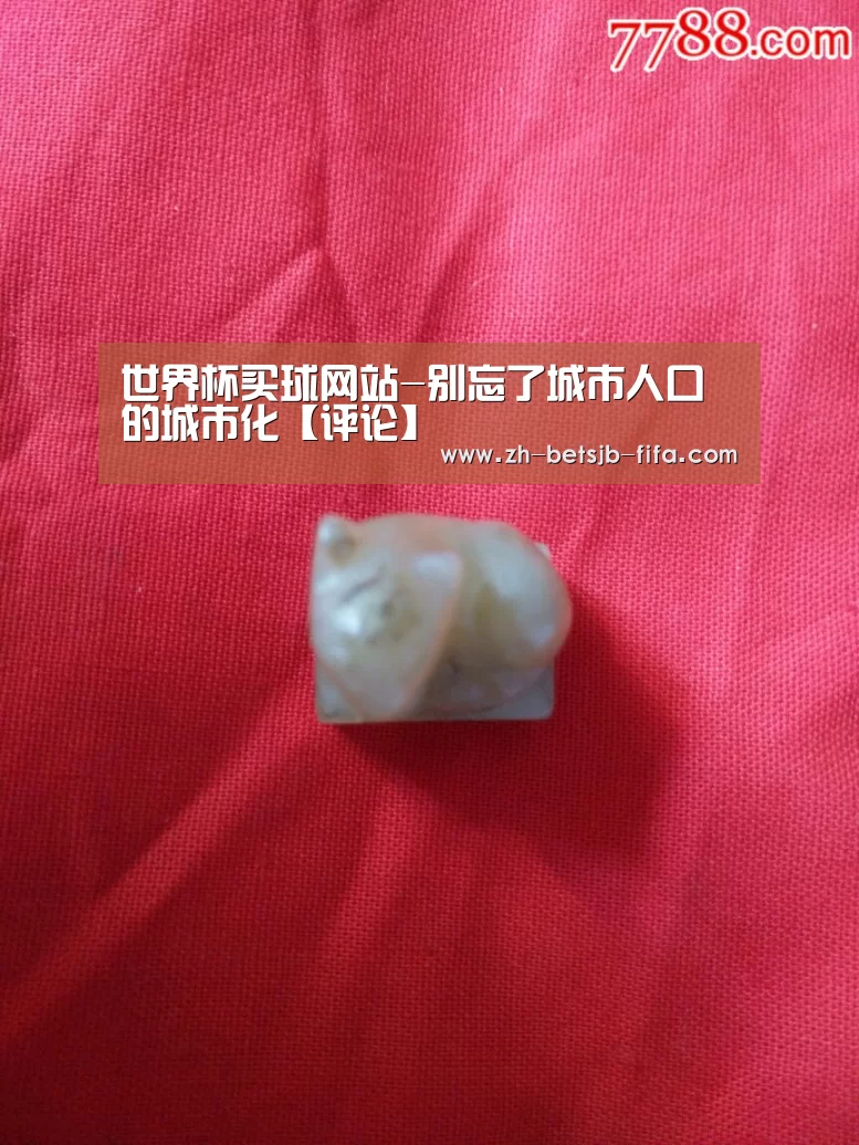 世界杯买球网站