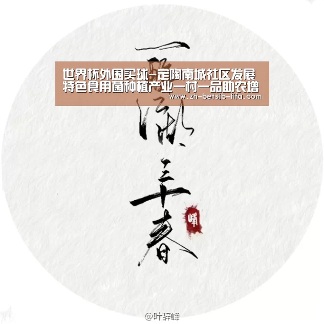 世界杯外围买球