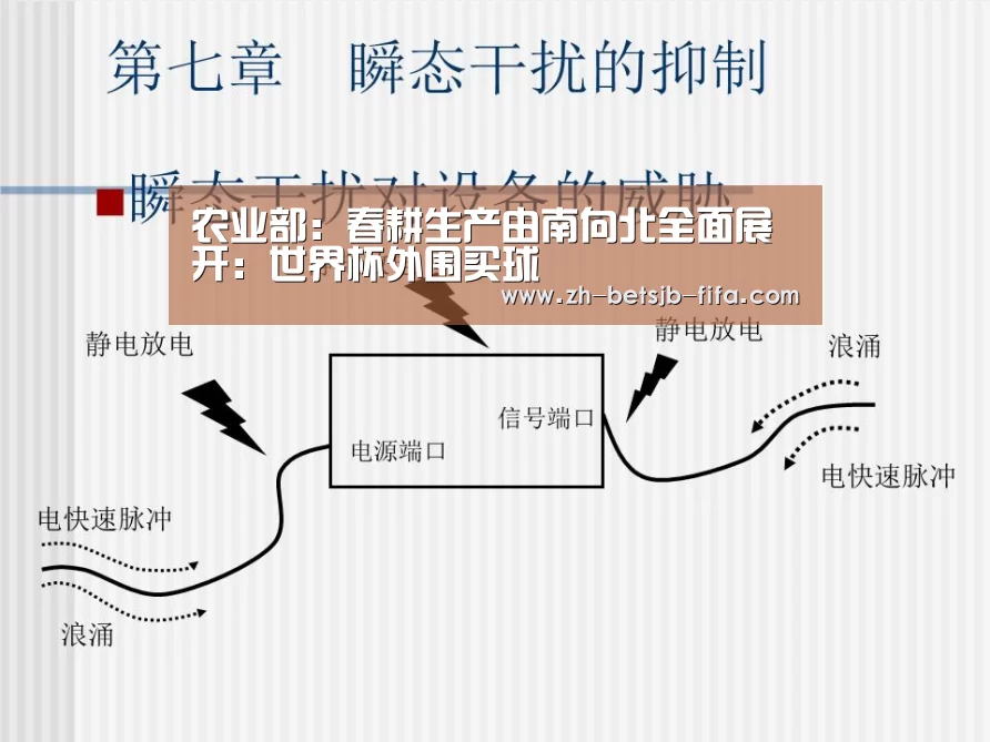 世界杯买球网站