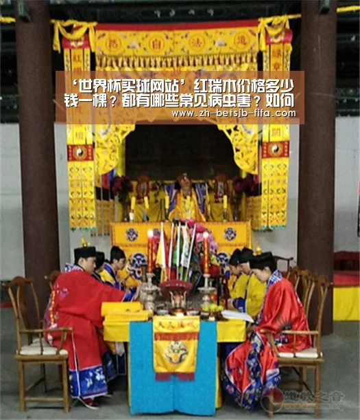 世界杯外围买球