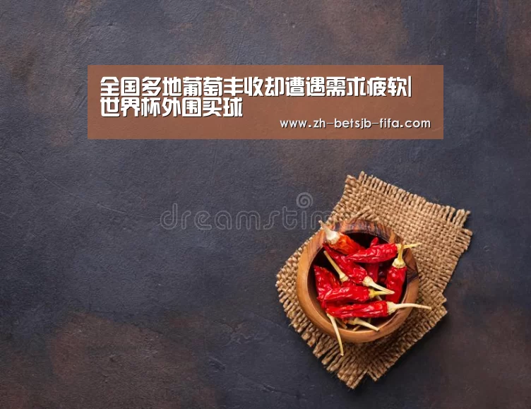 世界杯投注