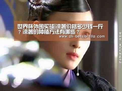 世界杯买球网站