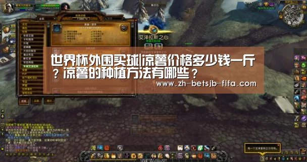 世界杯外围买球